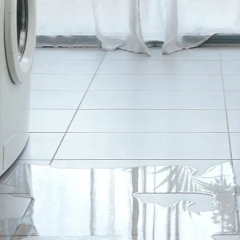 Appliance Leak Cleanup in Douglas County, GA