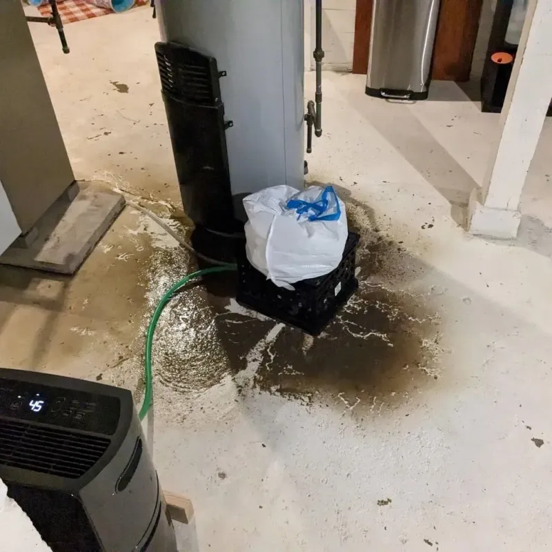 Sewage Backup Cleanup Service in Douglas County, GA